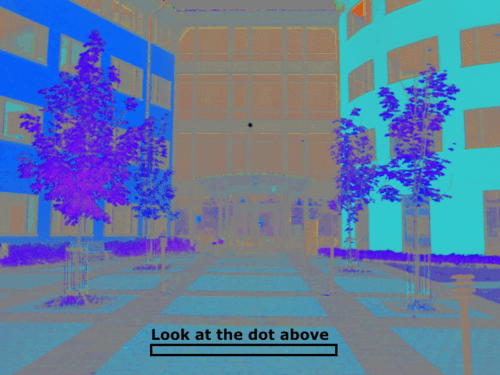 Look-at-the-dot-color-illusion